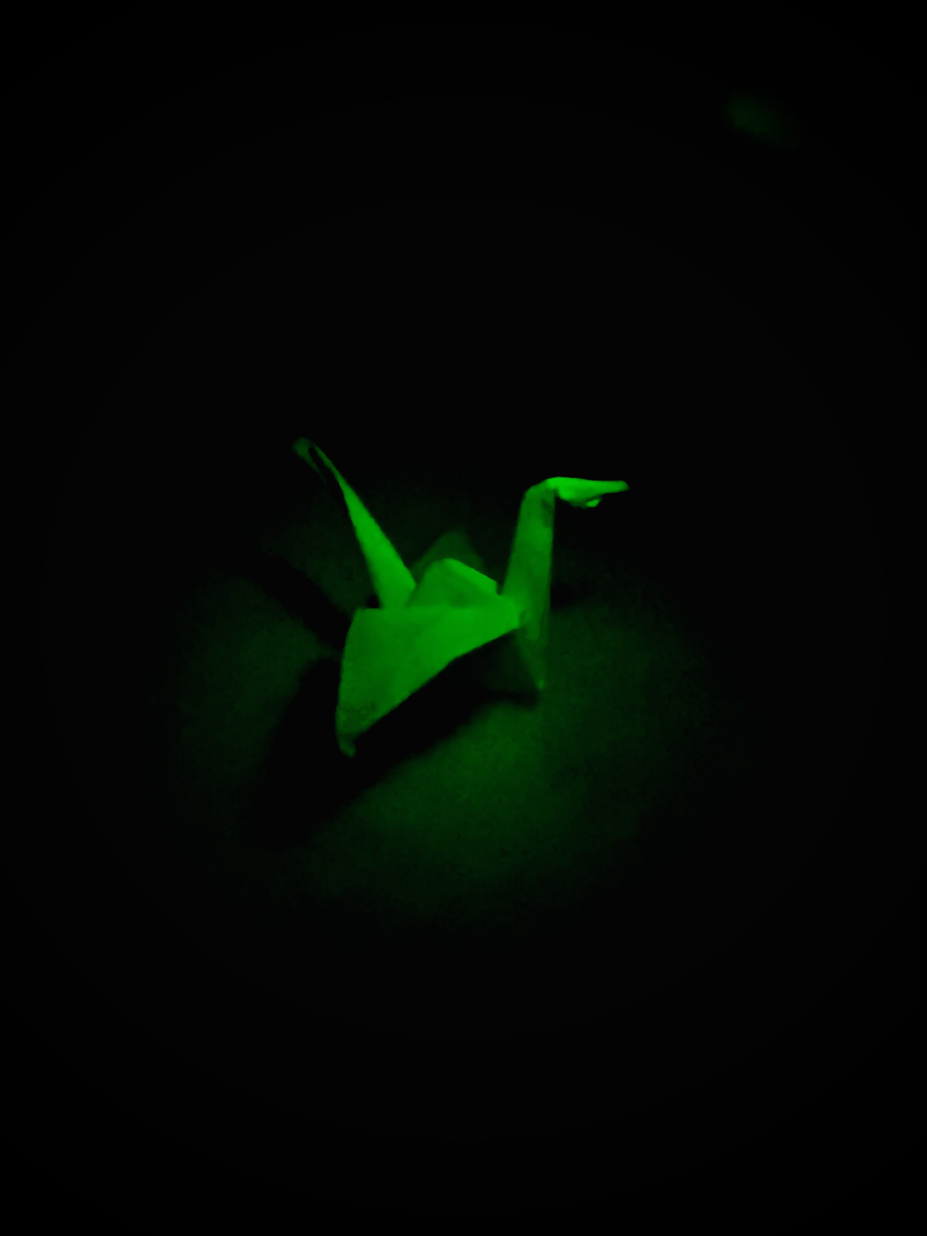 Green Crane.jpeg